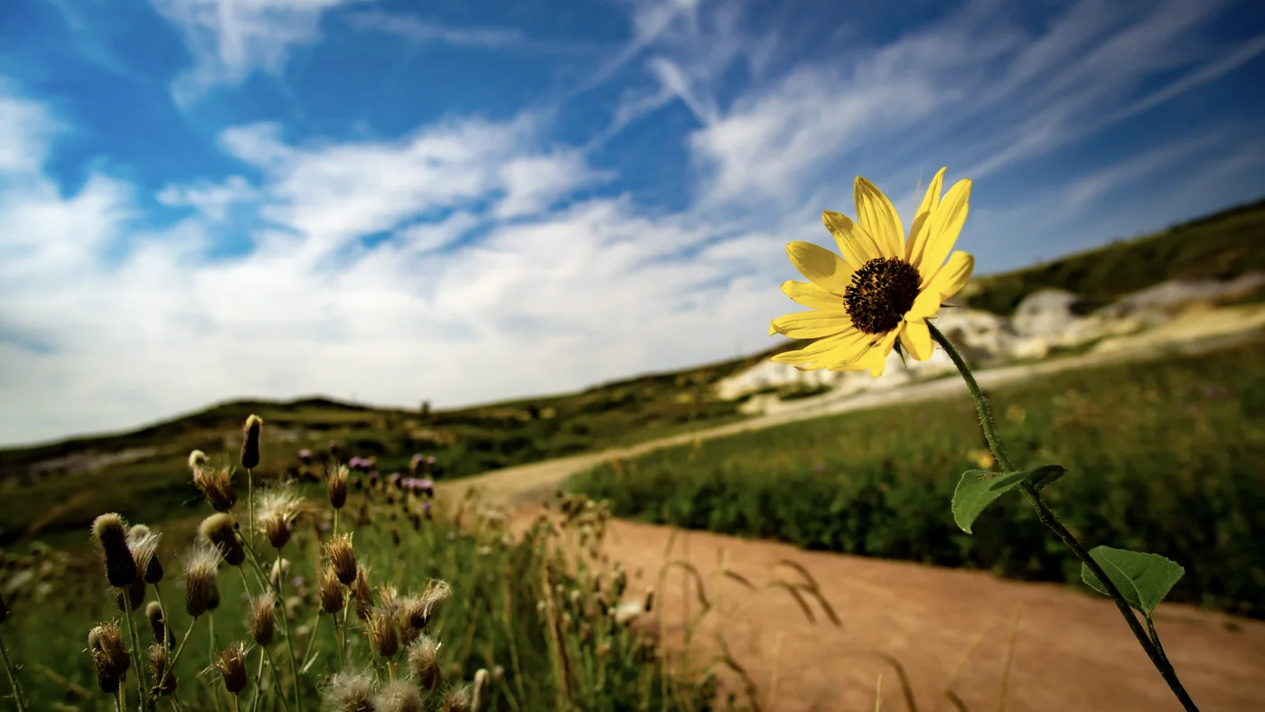 Paint Mines, Colorado
